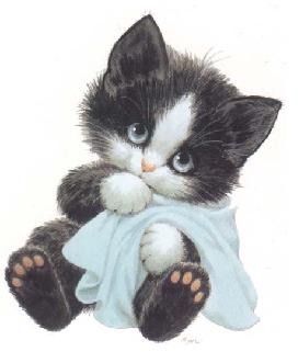 chat